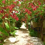 Dove 4* Fethiye