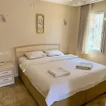 Dove 4*