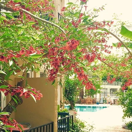 Appart hôtel Dove 4*