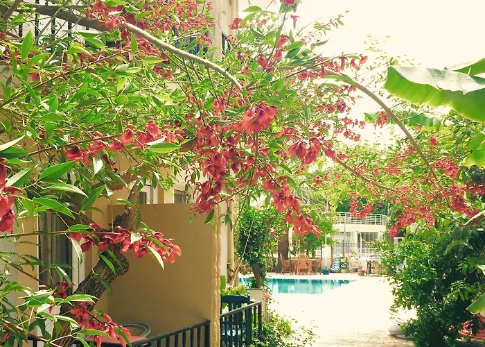 Aparthotel Dove 4*