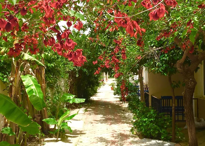 Dove 4* Fethiye
